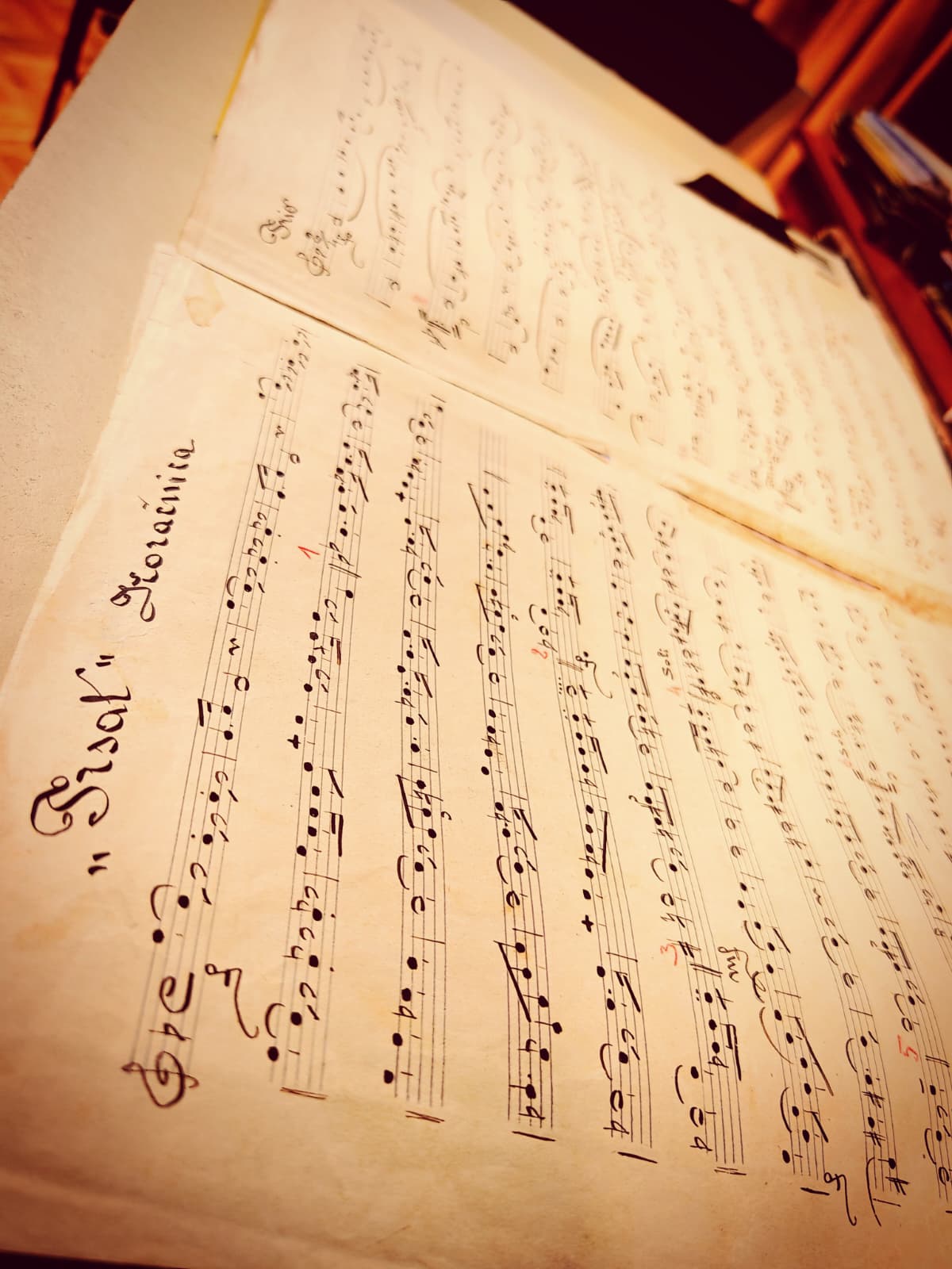 WhatsApp Image 2026-04-10 at 09.31.05